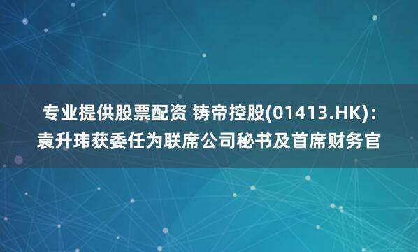 专业提供股票配资 铸帝控股(01413.HK)：袁升玮获委任为联席公司秘书及首席财务官