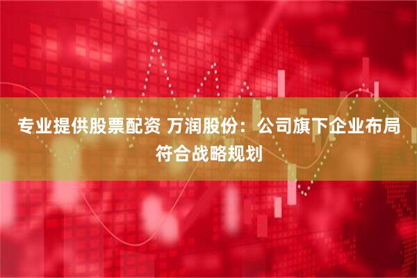 专业提供股票配资 万润股份：公司旗下企业布局符合战略规划